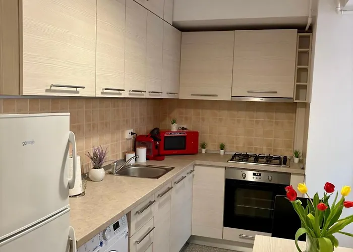 Confort 2 * بوخارست